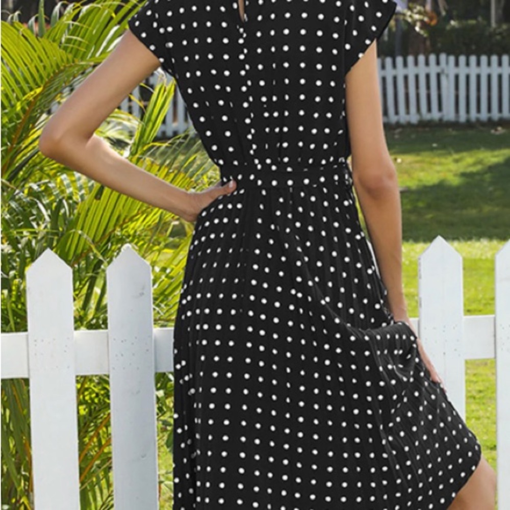 Anna- Kaci Polka Dot Cap Sleeve Dress View 2